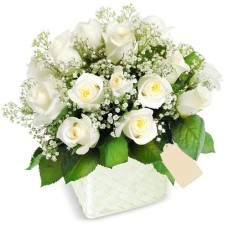 Heartfelt White Roses