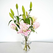 Fragrant Roselilies - Rl (5 Stems)