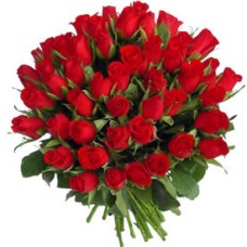 4 Dozen Red Roses
