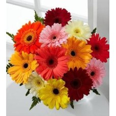 Mixed Gerbera In Bouquet