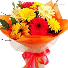 Mixed Gerbera Bouquet