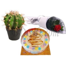 (000011) Cake with cactus and red rose