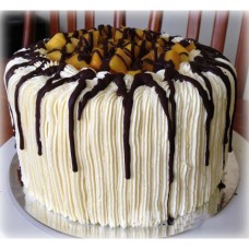 Mango Bravo (6 X 5 Inches)