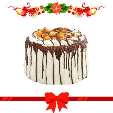 Mango Bravo by Contis (Regular)