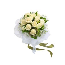 Brilliant white (Small)