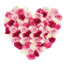 Heart - Roses three colors