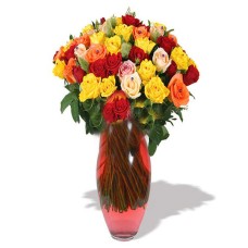 Multi color roses (Large)