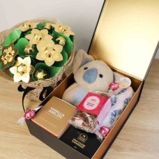 Baby Koala Luxury Gift Hamper