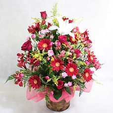 Gorgeous arrangement vivid
