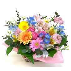 April Arrange Deluxe
