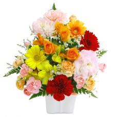 Omakase Arrangement / Cutie Color Mix
