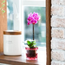 micro aqua pot