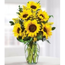 Sunflower Arrangement