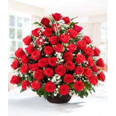 Serenade of Roses