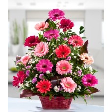 Arrangement of Gerberas