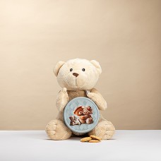 Soft Teddy Bear with Danish Cookies