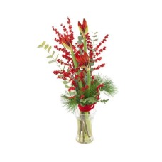 Festive amaryllis with ilex | VASE IS NOT INCLUDED (Basic)