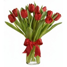 10 Red Tulips