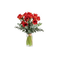 Red Amaryllis with Eucalyptus