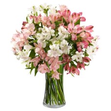 Bouquet of assorted alstromerias (Special)