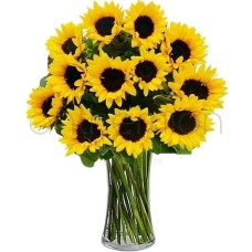 Bouquet of 12 bright sunflowers