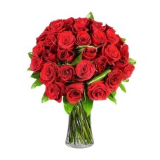 Bouquet of 36 red roses
