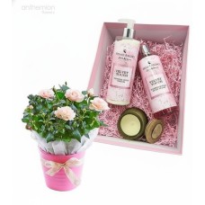 Gift Velvet touch