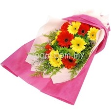 Gerbera Hand Bouquet 02 (15 Stalks Mix Colour Gerbera)
