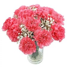 Pink Delight