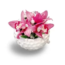 Composizione di Orchidea