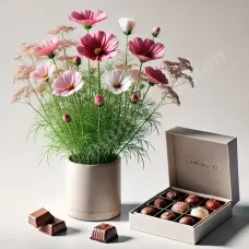 Cosmea e Cioccolatini
