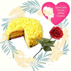 Cake and Rose (BASE)