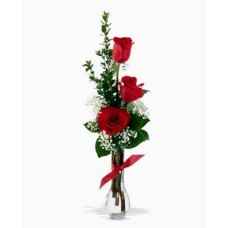 Composition Of 3 Roses