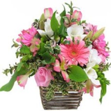 Basket In Pink (Medium)