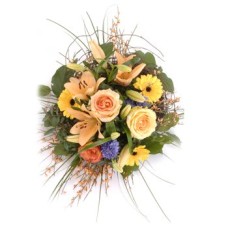 Country Scents (Small)