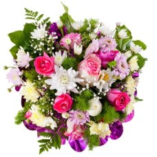 Spring Glow (Medium)