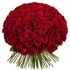 101 Roses