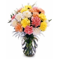 Tender Carnations