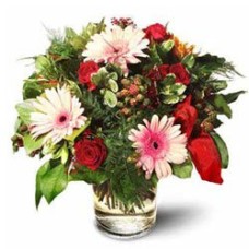 Roses With Gerbera Daisies (Medium)