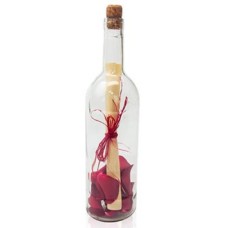 Letter in a bottle