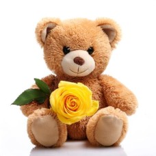 Bear and Grand Rose