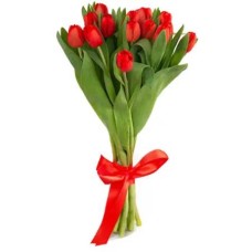 Red Tulips Selection