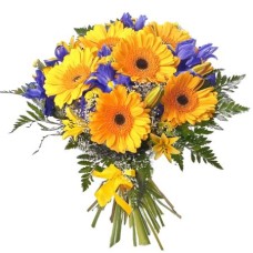Spring Sparks (Medium)