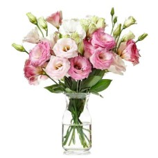 Elegantly Simple