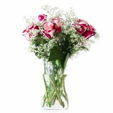 Rose Classic