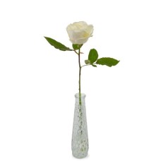 Premium white rose + free vase