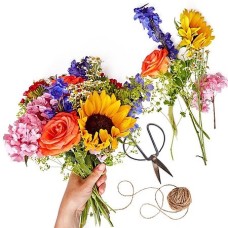Florist Design - Colourful (Small)