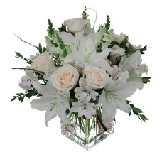 White Dream