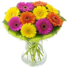 Gerbera Daisy Vase