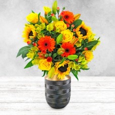 Splendor (Small)